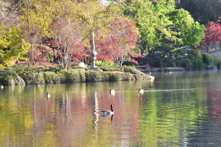 Woodward-Park-Fresno-CA-93720